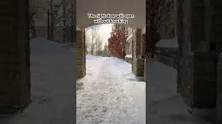 The right door will open #canada #snow #nature #positivevibes #life