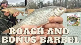 Winter Roach and Bonus Barbel - Windy Weather Float Fishing