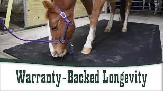 Custom Horse Stall Mats - Interlocking Rubber Equine Mats