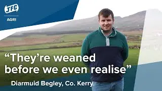JFC Evolution IE - Diarmuid Begley