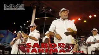 Sonora Poncena  