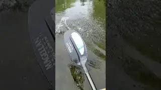 Nice Bass on Pop-R #bassfishing #topwaterbassfishing #kayakfishing