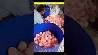 பார்பி டால் பொம்மை💃 barbie doll  manufacturing #shorts #making #manufacturing #motivation