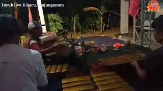 Tayub Live Ds.kampungbaru,Tanjunganom 2020 New Normal