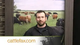 CattleFax Closing Bell: Is Beef Still Affordable? &ndash; May 2, 2025