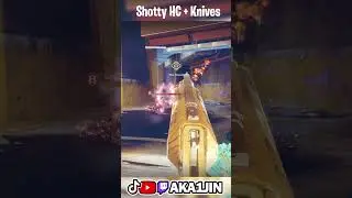 Нейтрализатор ауреуса &mdash; это новая мета!! #destiny2 #trialsofosiris #gaming