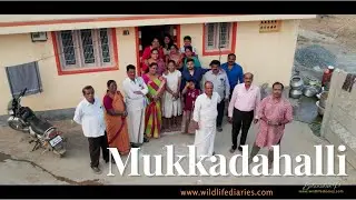 Mukkada Halli | Chamarajanagar district | 4K Cinematic | Wildlife Diaries