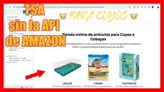 Cómo PONER PRODUCTOS en un TSA sin la API de AMAZON