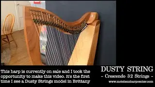 Dusty String - Crescendo 32 S - FH32 | McTelenn Harp Center