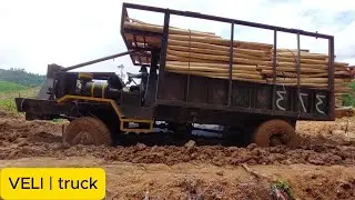 Insane Off-Road Wood Transport Compilation!