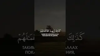 Сиратулло Раупов &mdash; сура 2 &laquo;Аль-Бакара&raquo; | Siratullo Raupov &mdash; Surah 2 &laquo;Al-Baqarah&raquo; #ramadan #quran