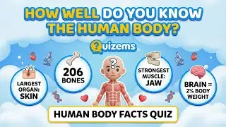 How Well Do You Know The Human Body?