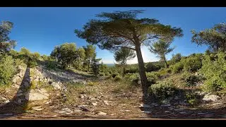 360&deg; STOCK VIDEO 4K | Valleyview From Stony Provencal Forest Landscape | Atmosphaeres