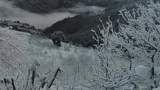 Snow day  morning routine in Himalayan village life
