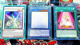 Herald of Perfection Deck Profile Yugioh 2020