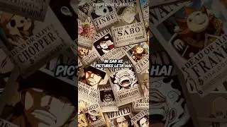 Did You Know!!??🤔😯 | One Piece | Anime | Hindi