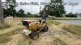 My Honest Review: Is the Sears Haban Sickle Bar Worth It?