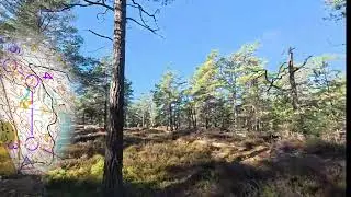 Headcam Orienteering || Gålömedeln H55