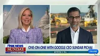 Google CEO Sundar Pichai On Fox News Sunday