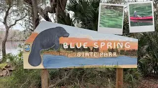 The Winter Home of Florida’s Manatees | Blue Spring State Park