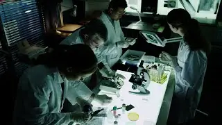 O EXPERIMENTO DO RENASCIMENTO - História Narrada | História para dormir