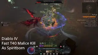 Diablo 4 | Fast Tier 40 Malice Kill as Spiritborn