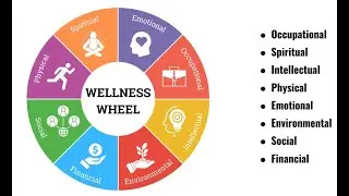Understanding the Wellness Wheel