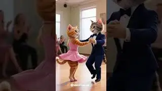 Elegant Cat Tango Dance #tango #catdancechallenge #catshorts