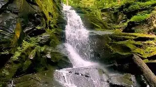 I only fell in the creek once! 3 waterfalls in one beautiful hike at Slateford Creek in the Poconos