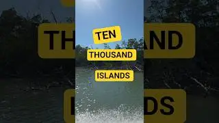 Shelling the Ten Thousand Islands #seashell #shellinginflorida
