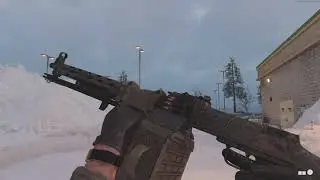 Call of Duty Black Ops Cold War/Warzone RPD Bunker Beetle Showcase (Gold, Diamond, DM Ultra)