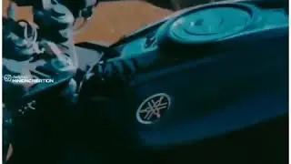 R15 v3 mass WhatsApp status