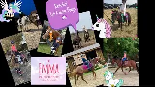 Ponys und Pferde auf dem Reiterhof / Ponyhof Turnier und Freizeit