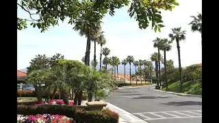 Palmia Mission Viejo 55+ #orangecounty55plushomesspecialist