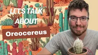 Let's Talk about Oreocereus
