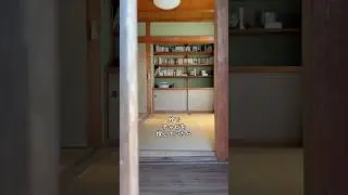 今朝は室内でゆっくりするチャビさん🐱 #ねこ