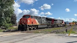Empty Wells on a Container Train (AND A Bonus!) - CN149 through CN London Yard on September 6, 2021