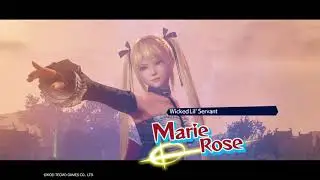 WARRIORS ALL-STARS - Ryu Hayabusa, Ayane, and William Gameplay (Big Battle) Hard Difficulty