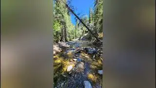 Cat creek trail and falls, kananaskis AB