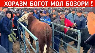 ХОРАЗМ БОГОТ МОЛ БОЗОРИ 23-ОКТЯБР !!! ХОРАЗМ БОЗОР