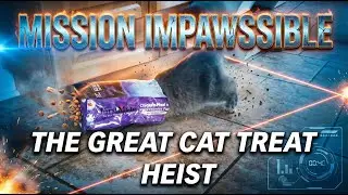 MISSION IMPAWSSIBLE | THE GREAT CAT TREATS HEIST