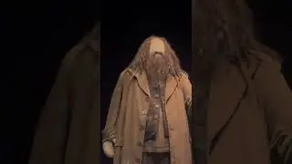 Hagrid in Real Life #harrypotter #shorts