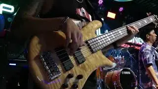Maria-blondie​ bass​cover​#spectorbass​#music​#reels​