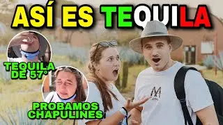 VAMOS A TEQUILA y ASÍ ACABAMOS 🇲🇽 PROBAMOS TEQUILA y CHAPULINES 🔥 **nos arde la boca**