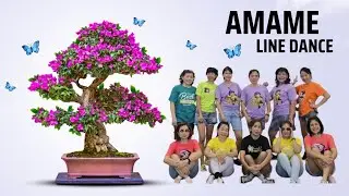 Amame Line Dance/Beginner/NR Class/Jan 2025