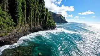 Gym & Workout Motivation 💪 High Energy EDM Mix 24/7