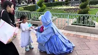 Fairy Godmother at Tokyo Disneyland