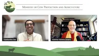Why Cow Protection and Agriculture are important for Srila Prabhupada - H.H. Krishna Kshetra Swami