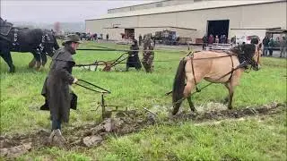Plowing With Single Horse - Yamhill Oregon Competition 2024