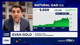 Planalytics' Evan Gold on winter weather's economic impact: We buy at the 'point of need'